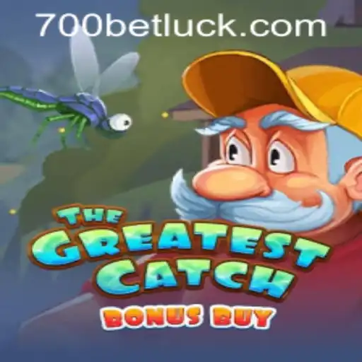 Fortune Koi